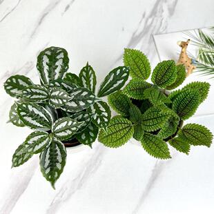 ��ˮ�����~���݃����՚��k���҃ȾGֲ���ܿ͏d���ȱ�ˮ����������