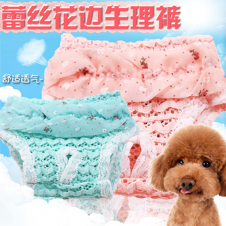 애완 동물 옷 생리 바지 곰 생리 발정 방지 coquettish 바지보다 테디 딸기 웨이브 도트 개 고양이 쉬폰 속옷