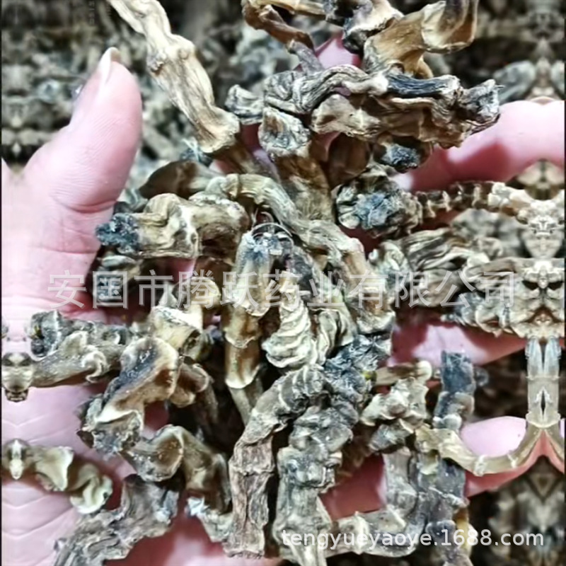 Dried Di Shen Root 500g Wholesale Loose Chinese Herbal Tea Ingredient Di Can overview