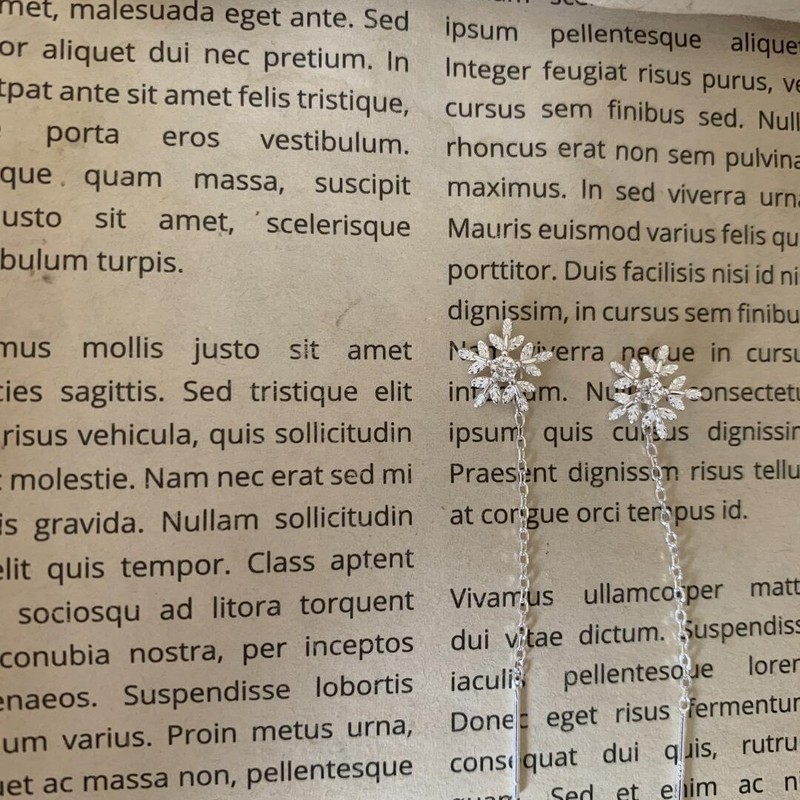 S925银雪花耳线女轻奢小众长款流苏耳环气质简约养耳洞秋冬耳饰|undefined