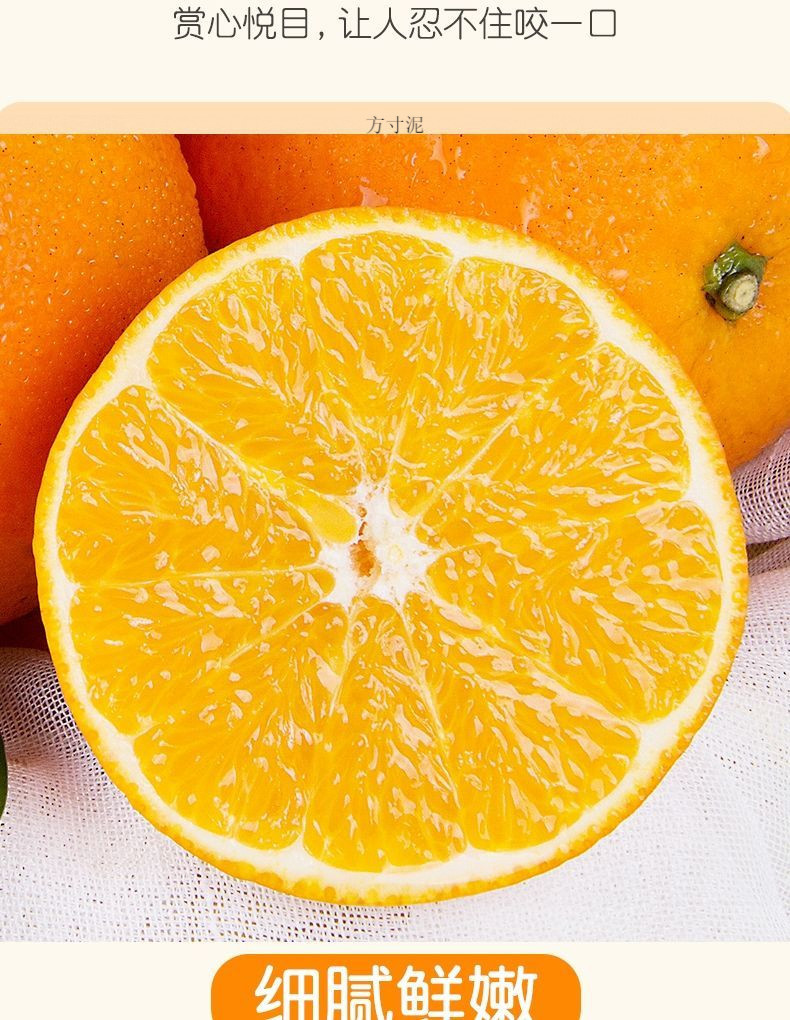 10022b30-f23d-471d-916f-c56d7c220e00.jpe