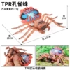 BY8065 Peacock Spider (Solid TPR material)