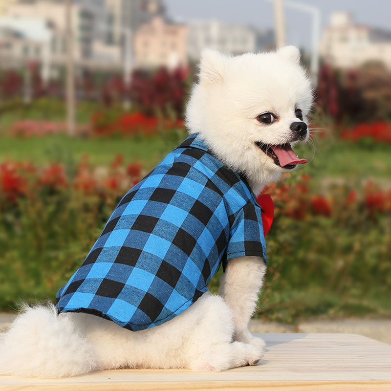 Casual Polyester Plaid Bow Knot Pet Toys display picture 4