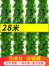 仿真装饰遮挡绿植藤条藤蔓假树叶塑料花下水管道空调管子绿叶跃宠