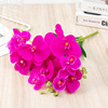 Phalaenopsis Simulation Flower 3D Print 9 Hand -felt Film Wedding Wedding Flower Homorph House Artificial Decoration Flower High -end Fake Flower