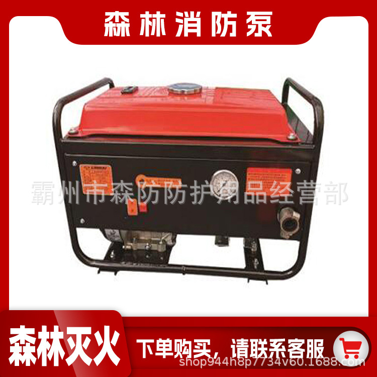 手抬式机动消防泵SFBA30/0.6-C森林消防泵便携式移动抽水泵高压水