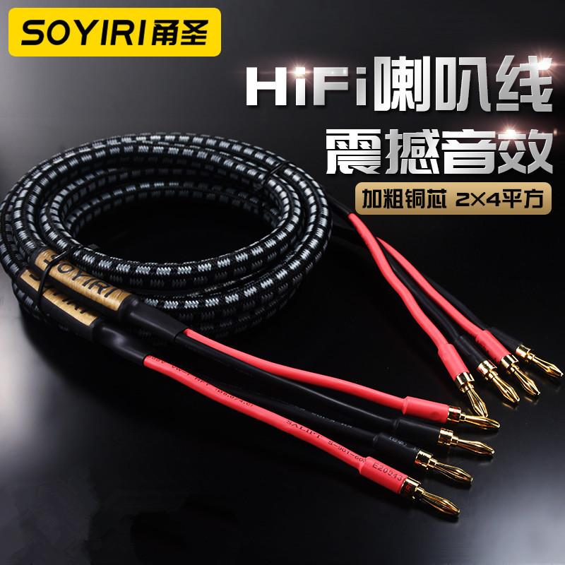 SOYIRI铜镀金4MM香蕉头线HIFI发烧无氧铜2*4平方加粗大功率音箱线
