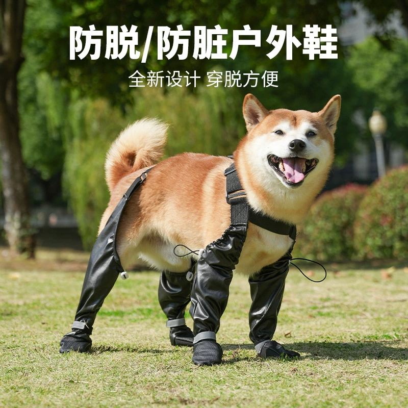 Трансграничные собаки выходят на защиту от грязной обуви