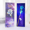 Colorful Simulation 24K Gold Foil Rose Gift Box Single Tanabata Valentine's Day Gift Creative Birthday Manufacturer Cross -border