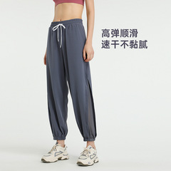 ゆったりとした高腰速乾ズボン欧米の網糸速乾ヨガの長ズボンのランニングの足の大きいサイズのフィットネスパンツの女性