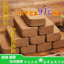 ���sҬ�� �̨���N�����辰����ֲ���ЙC�I�B���N�˝�sҬ�uҬ��