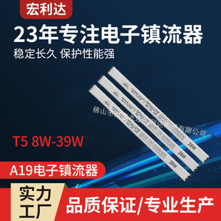 Factory Direct Supply of Honglida A19 Type Plastic Shell Fluorescent Lamp Electronic Ballast 8-39W with Silent Design