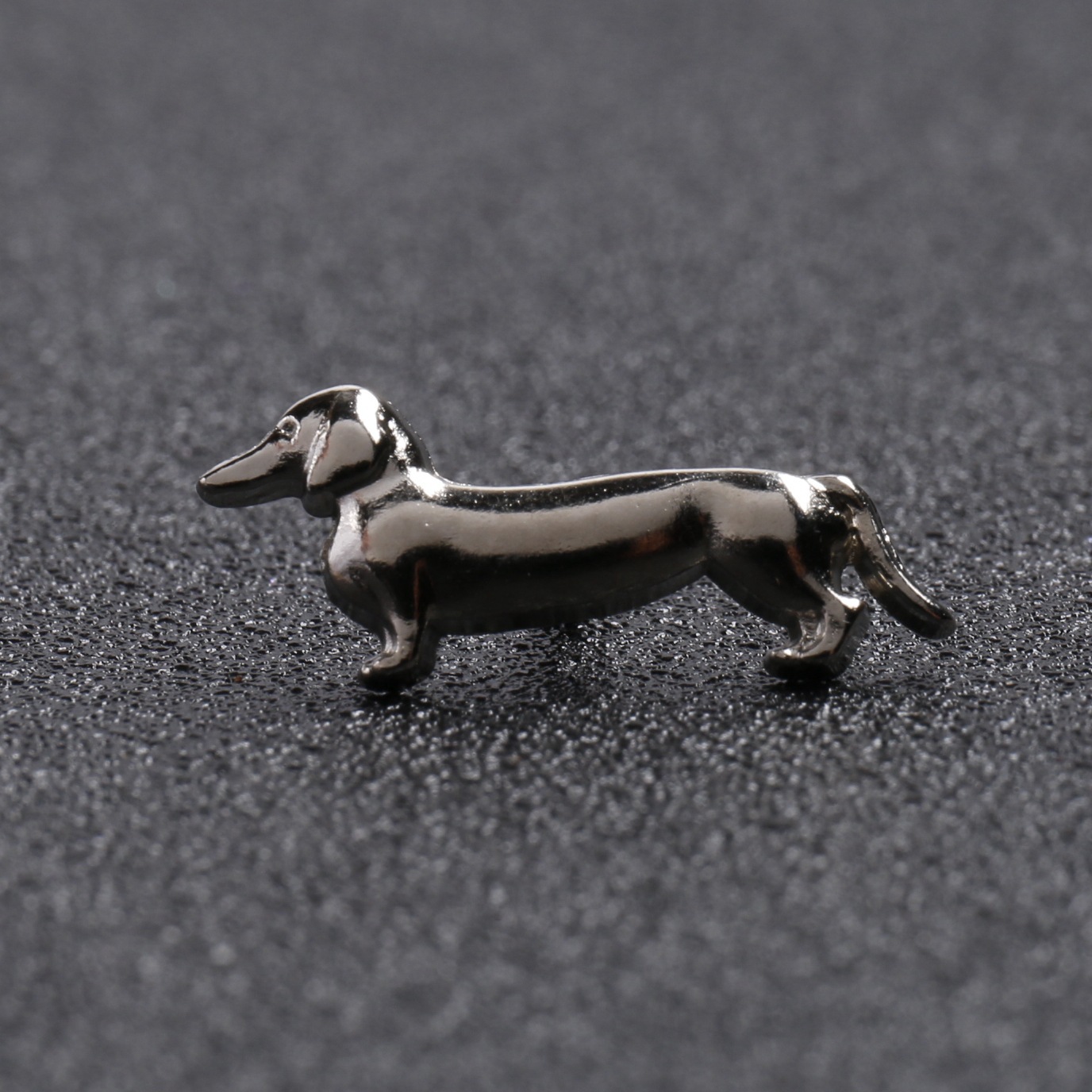 총 색상 강아지