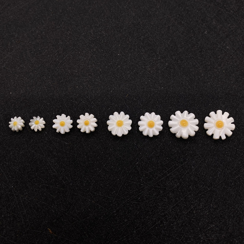 Amazon's Popular Natural Freshwater Shell Loose Beads Polished Straight Hole Daisy Flower Shell Beads DIY Necklace Jewelry Accessories Amazon's Popular Natural Freshwater Shell Loose Beads Polished Straight Hole Daisy Flower Shell Beads DIY Necklace Jewelry Accessories