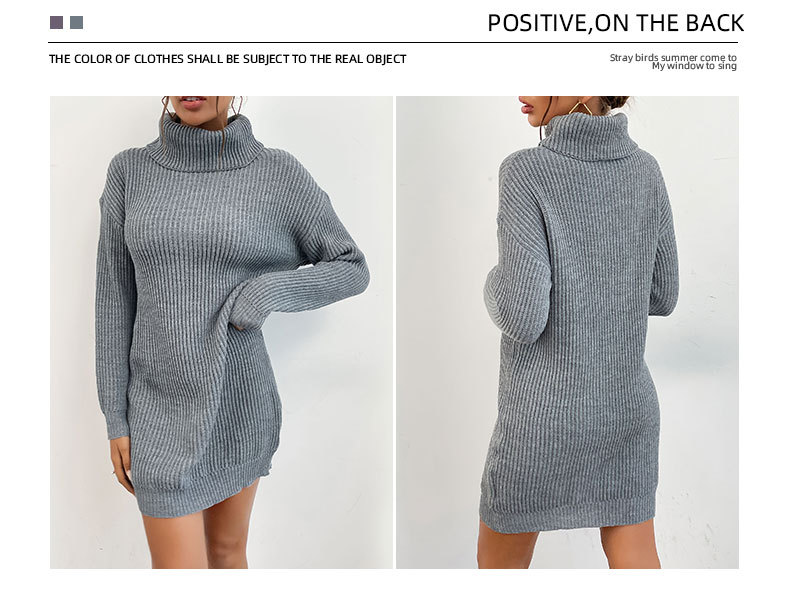 Gray Long-Sleeved Turtleneck Sweater Dress NSYYF105864