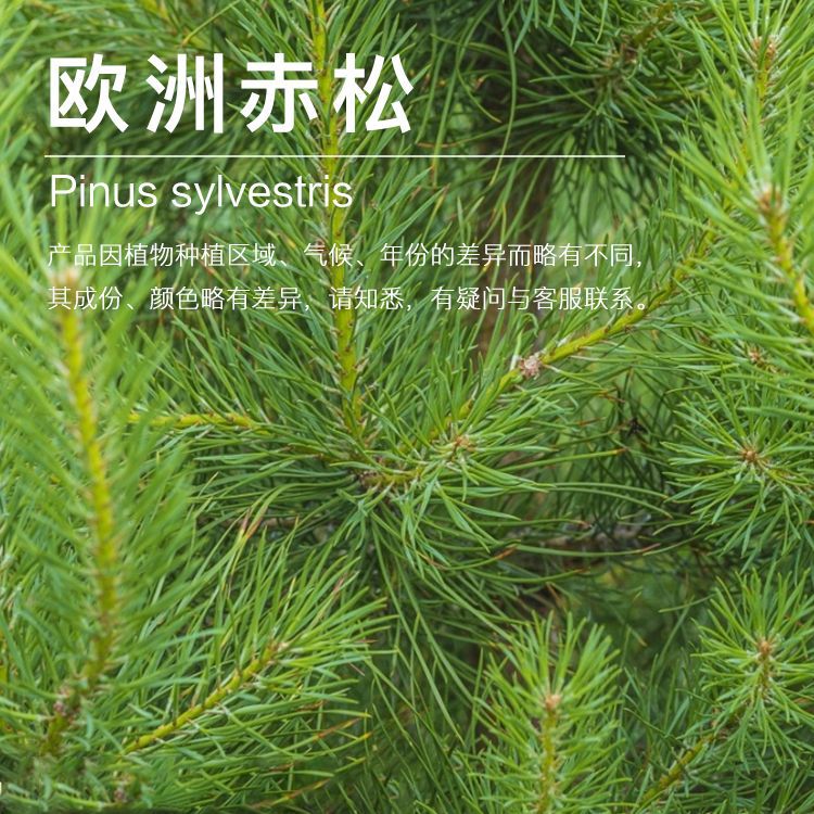 ŷ�޳��ɾ��� ŷ�޳���������ȡ   ֲ��������������ӭ�ɹ�