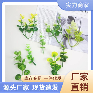 �羳����Gֲ�ȼ����~���~�ȼ���ˮ������S�����l�ٗl���h�b���
