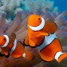 С���~���w�~�˹���߅���Ӻ�ˮ�^�p�~ɺ�����������~�_�ڝO��ֱ�l