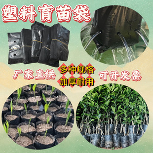 С̖�����������癉�ƠI�B����ɫ�Ӻ�Nʯ��ֲ�����Ș���I�B��