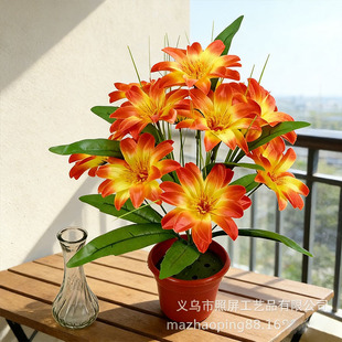 �x���������潁����ș���S�ҬF؛���l����ٻ� 12�^����ɏ�ѻ�
