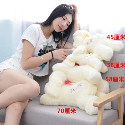 Toy dog Papa Dog Plush Toys Pillows doll Doll lovely birthday gift girl student Hearts ins