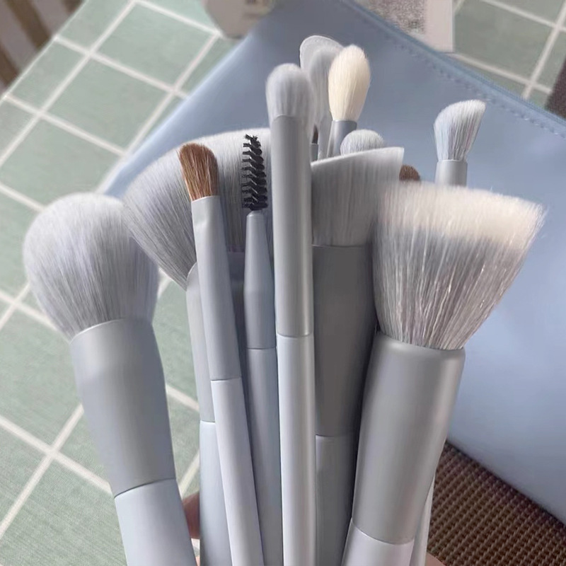 13 Fard in polvere Animal Spot Set completo Pennello per correttore_voghion.com