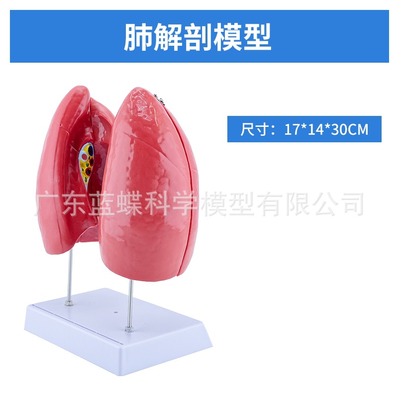 ��Ȼ��������ķ�ģ�ͺ�����״�ٷ��������ϵͳ�β�������ʽ�ѧ