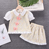 Children's summer clothing, skirt, doll, T-shirt, small princess costume, set, floral print, children's clothing, Korean style