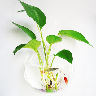 Glass Vase Hydroponic Hanging Bottle Special Home Wall Decoration Wall Hanging Vase Wall Vase Flower Vase Water Vase