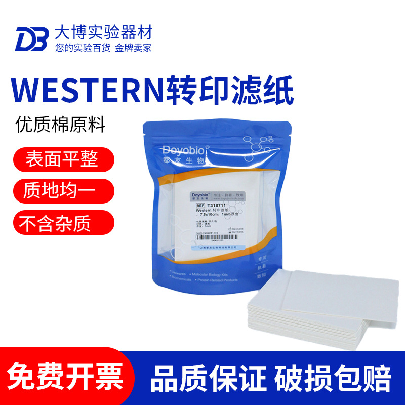 国产伯乐WB转印滤纸 转膜湿转滤纸 适用伯乐/天能/六一Thermo转印