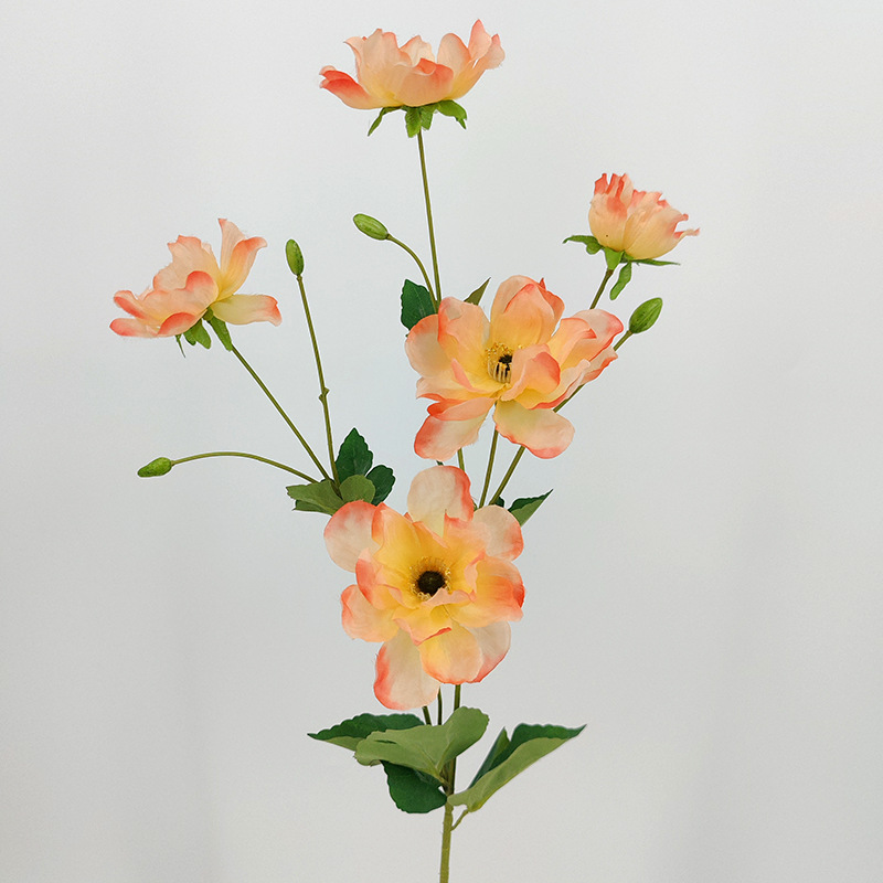 중간 산호 분말