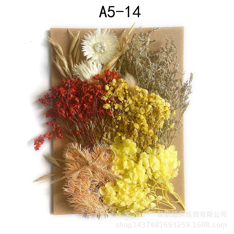 [Paquete de material de estampado A5] Flor seca flor eterna marco de fotos paquete de material de estampado DIY flor aromaterapia vela flor seca