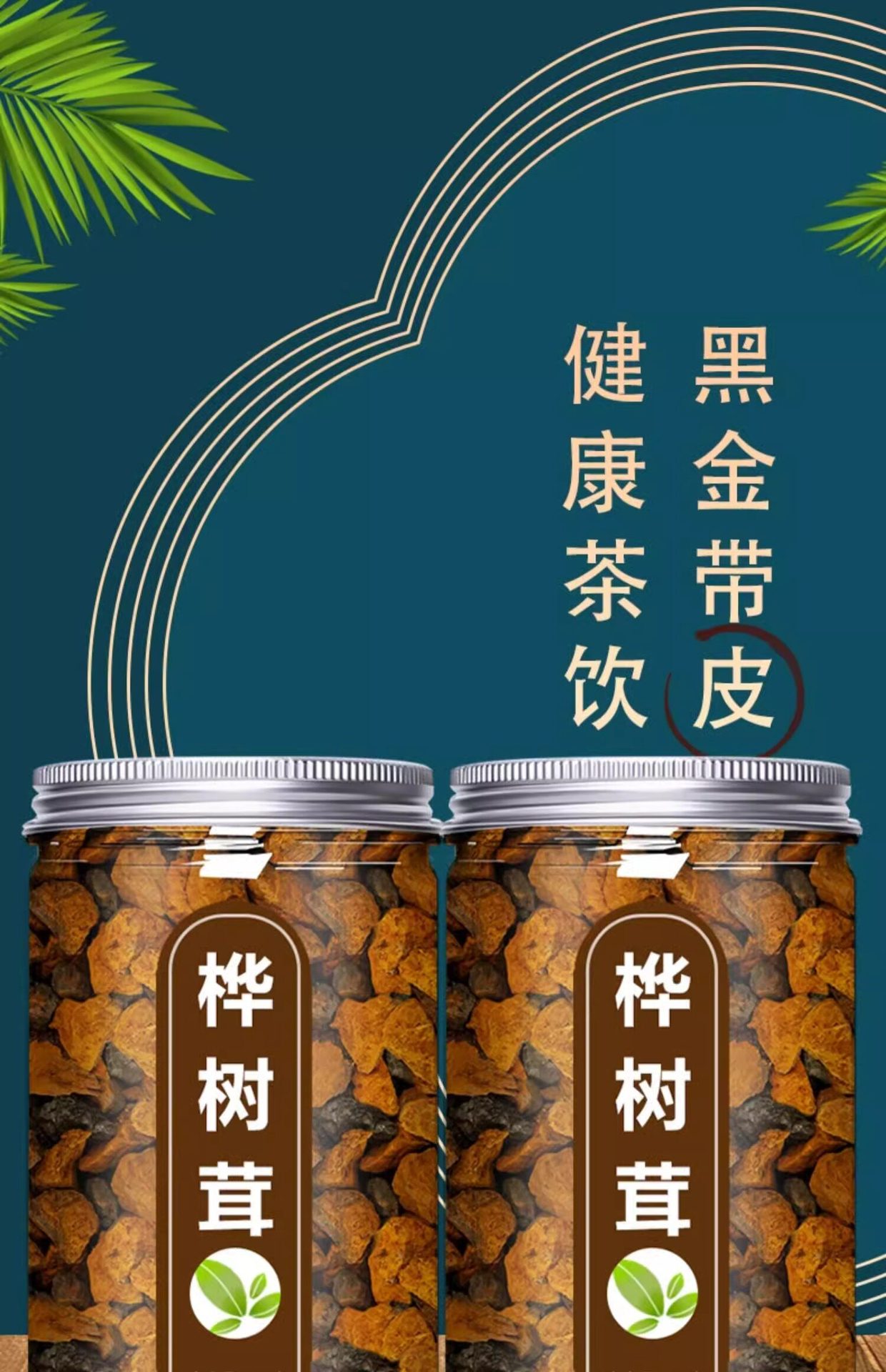 Wild Birch Chaga Mushroom 1000g Natural Sun Dried Siberian Inonotus obliquus for Decoction and Tea overview