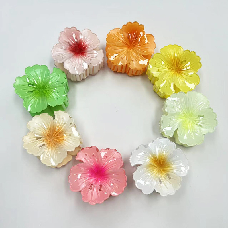 38g Weight Hair Clip, Hair Claws Hair Accessories Type 1 Piece Quantity Daily Occasion Resin Material Fish, Shark, Plumeria Pattern All Seasons Season Women's Gender Vacation, Sweet Style Vacation Sweet Women's Fish Shark Plumeria Resin Hair Clip Hair Claws 6