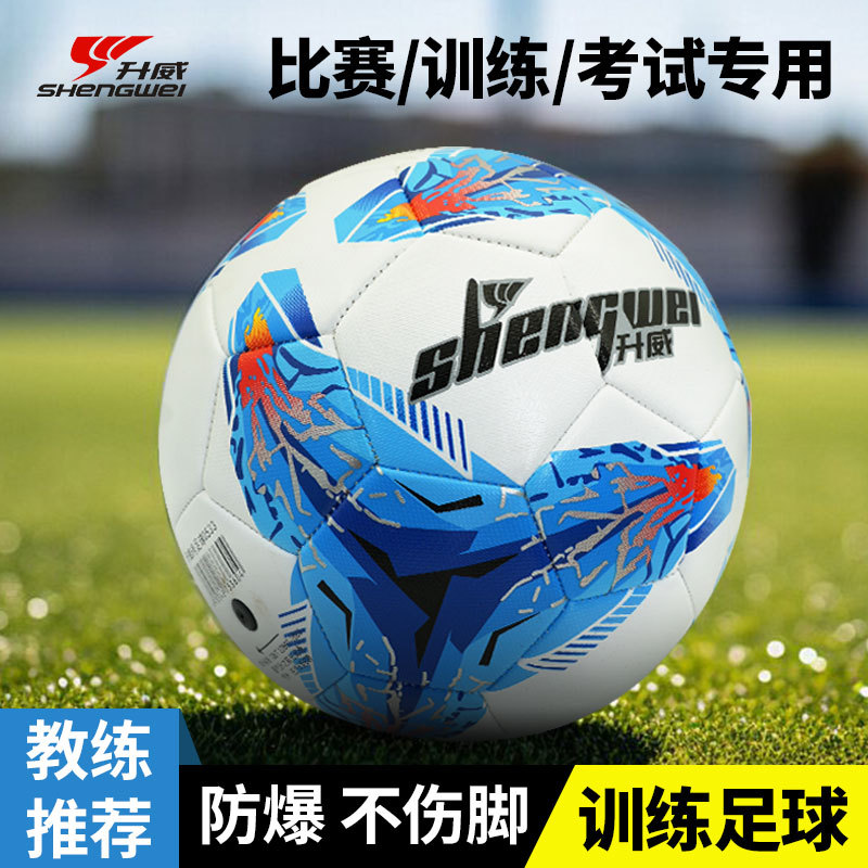 No. 5 Pvc Football Machine-Sewn Ready-Made Wholesale No. 5 Standard Game Training Primary School Students and Kidsren No. 4 High School Entrance Examination Football