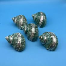 �l�y�G��܉���G����Ȼؐ�����ݼľ�з��Q���Ӽ��b��Ĕz����