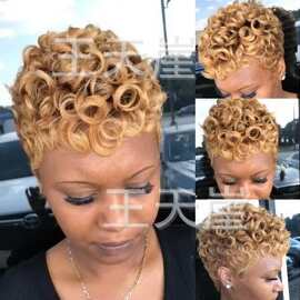 欧美新款跨境女短卷发非洲小卷手工绕管化纤假发头套 pixie wig