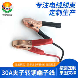 定制30A夹子转铜端子线车载逆变器启动电源线铜鳄鱼夹线电瓶线