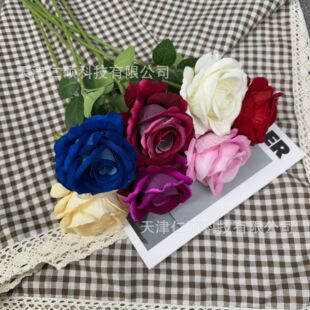 ����q����õ�廨�ٻ���Y�Ҿ����˹��b��ָ����컨�������S����