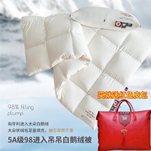 180支纯棉95鹅绒被冬被98吊吊白鹅绒被厚被子全棉羽绒被春秋被芯