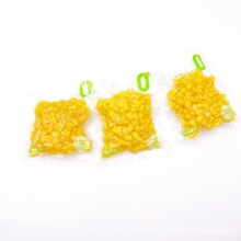 ������Ｔʳ���������e��ʳ1��6��