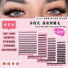 ��óר��30D-200D�ٽ�ë��ֶι�������Volume Lash Extensions D