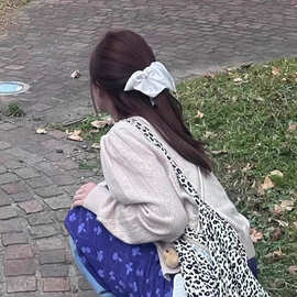 赵露思同款系列头饰许我耀眼许研发饰扎头发绳头绳2025新款发夹