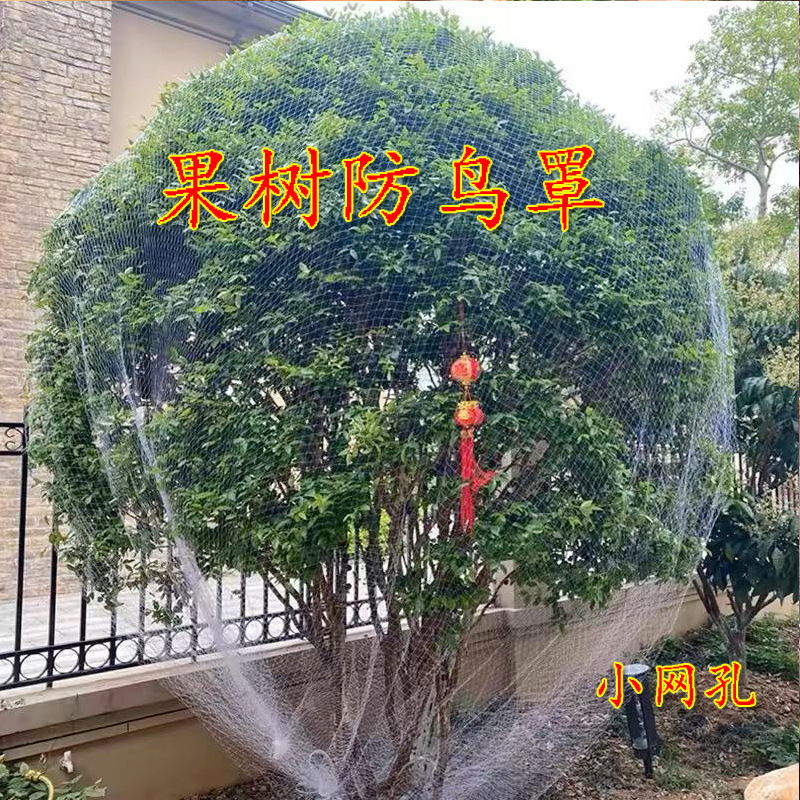 Orchard Anti-Bird Net Cover Cherry Garbo Fruit Tree Nylon Protective Net Grape Sky Net Single Fruit Tree Protective Nylon Net