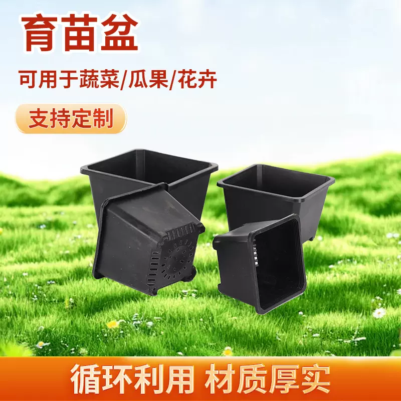 黑色方盆多肉花盆塑料加厚小方盆植物种植盆育苗盆宽边景天盆