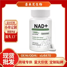 NAD�����������z�Ұ�޼�J���羳���^����վ�rƤeBayȫӢ��tk���Q