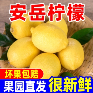 �����Ĵ������S�������rˮ����ˮ�����̲��ե֭������]�a��ֱ�l