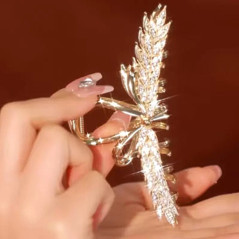 IMG_3420(20241013-124824)