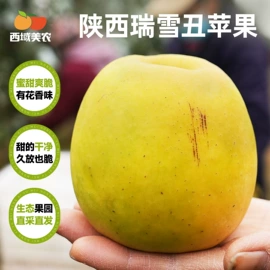 无花果干;红枣干;其他果干蜜饯