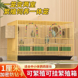 �J���u���û\�����r�u�\С�u�\�g���\С�S���\� ����\�J���u�\��